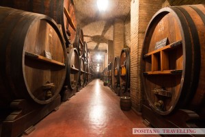 Large wooden casks in a wine cellar, Argentina